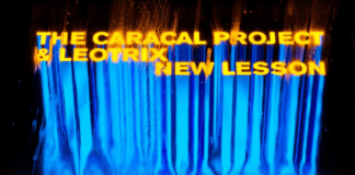 Crossover inesperado: The Caracal Project y Leotrix lanzan ‘New Lesson’ THE CARACAL PROJECT LEOTRIX