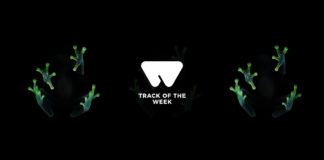 Track De La Semana 25 – 31 Marzo track de la semana dog blood turn off the lights