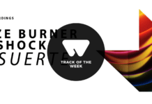 Track de la semana 13 – 19 enero track semana dishock