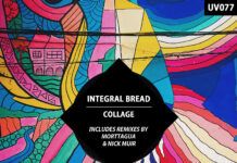 Integral Bread, mejor rodeado que nunca en su maravilloso nuevo ‘Collage EP’