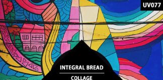 Integral Bread, mejor rodeado que nunca en su maravilloso nuevo ‘Collage EP’