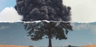 Wilkinson lanza ‘Cognition’, su cuarto álbum de estudio