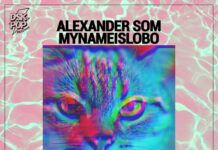 Los gatos conquistan el mundo en lo nuevo de Alexander Som y Mynameislobo Alexander Som Mynameislobo With You