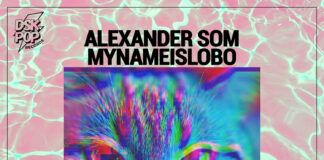 Los gatos conquistan el mundo en lo nuevo de Alexander Som y Mynameislobo Alexander Som Mynameislobo With You