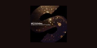 Will K y FaderX empiezan 2019 con ‘Shine’ Will K FaderX Shine