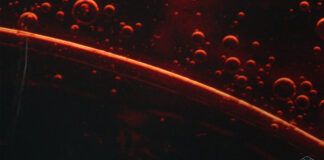 Martin Garrix y Elderbrook colaboran para la segunda referencia de YTRAM YTRAM y Elderbrook