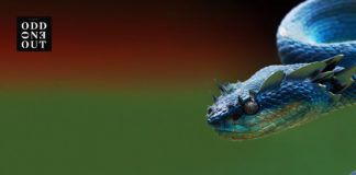 Yotto nos sumerge en un viaje de melodías tranceras Yotto Is This Trance