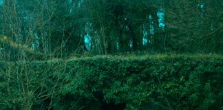 mrtn protagoniza la segunda referencia de 「lotura」 con su EP Fantasía mrtn fantasía