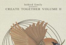 Bitbird presenta su recopilatorio ‘Create Together Vol 2.’ bitbird create together vol 2