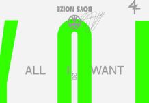Boys Noize se convierte en sophomore en Defected con ‘All I Want’