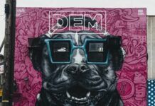 Dub Elements vuelve a la escuela con ‘School Of Hard Knocks’ Dub Elements School Of Hard Knocks