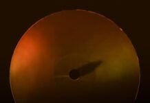 Blackchild (ITA) cierra el año con ‘City Cutz EP’ y se prepara para el evento Shout! City Cutz EP