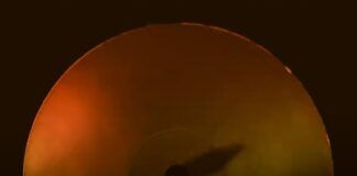 Blackchild (ITA) cierra el año con ‘City Cutz EP’ y se prepara para el evento Shout! City Cutz EP