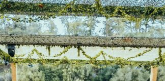 Brunch Electronik x NEOPOP: un encuentro Day & Night inédito en Lisboa