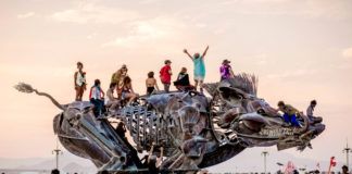 Festivales sostenibles: combatiendo el impacto ambiental Festivales sostenibles: combatiendo el impacto ambiental