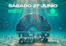 TECHNO FLAMENCO NERJA SUMMER FESTIVAL