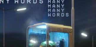 ‘Many Words’ es el nuevo tema de DROELOE Droeloe many words