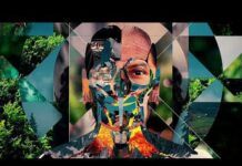 Max Cooper vuelve a emocionarnos con ‘Everything’, el primer single de su próximo album