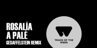 Track de la Semana 30 Diciembre 2019 – 5 Enero 2020 gesaffelstein remix rosalía a palé totw