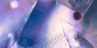 Mosimann vuelve a Protocol Recordings con ‘I Need’ Mosimann I Need Protocol Recordings