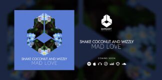 Shake Coconut presenta ‘Mad Love’ en el sello de Fedde Legrand shake coconut