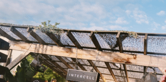 Intercell nos llena de eventos para el ADE 2025 con grandes nombres y todos los géneros musicales