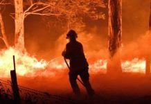 Los DJs se comprometen con los incendios de Australia incendios Australia