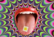 LSD lanza segundo tema en apenas 8 días: ‘Audio’