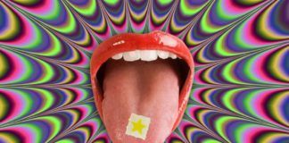 LSD lanza segundo tema en apenas 8 días: ‘Audio’