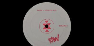 ‘Hypnotic Dub’, el nuevo tema de PAWSA en Solid Grooves Raw