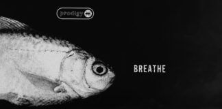 Mefjus & Camo & Krooked remezclan un clásico de los 90 como es el ‘Breathe’ de The Prodigy breathe mefjus camo krooked
