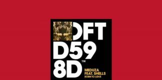 MEDUZA vuelve a la carga con su nuevo tema ‘Born To Love’ meduza born to love