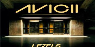 Venden un vinilo de edición limitada de ‘Levels’ de Avicii por 563$ Avicii Levels vinilo