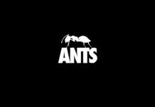 Ants vuelve a Fabrik con una plantilla espectacular fabrik ants