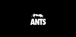Ants vuelve a Fabrik con una plantilla espectacular fabrik ants