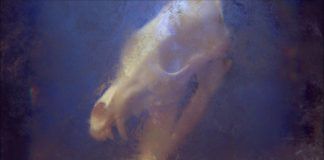 Kayzo se muestra ‘Unleashed’ otra vez Unleashed Kayzo