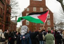 Ravers for Palestine: el colectivo solidario de la ‘club culture’