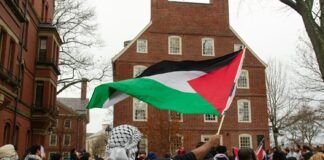 Ravers for Palestine: el colectivo solidario de la ‘club culture’