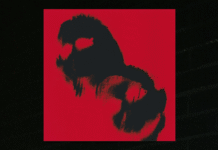 Rebotar, el tan esperado nuevo single de David Löhlein junto a Eliangel