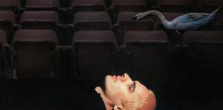 Sega Bodega – ‘Set Me Free I’m an Animal’, el tercer single de un esperado álbum