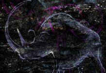 El malagueño Odagled estrena su EP ‘The Book’ en el sello madrileño Musica Cavernicola