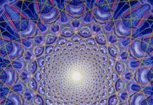 Descubre Hallucinarium: La Nueva temática de elrow para su cierre de temporada 2024 en Amnesia