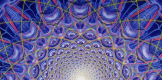 Descubre Hallucinarium: La Nueva temática de elrow para su cierre de temporada 2024 en Amnesia