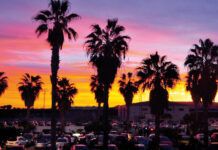 Metro Dance Club regresará en julio