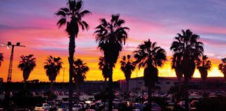 Metro Dance Club regresará en julio