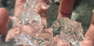 Upsammy se marca un debut estelar con ‘Zoom’ upsammy zoom